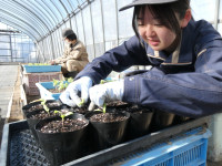 P1031117 (中)