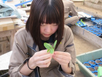 IMG_1277 (小)